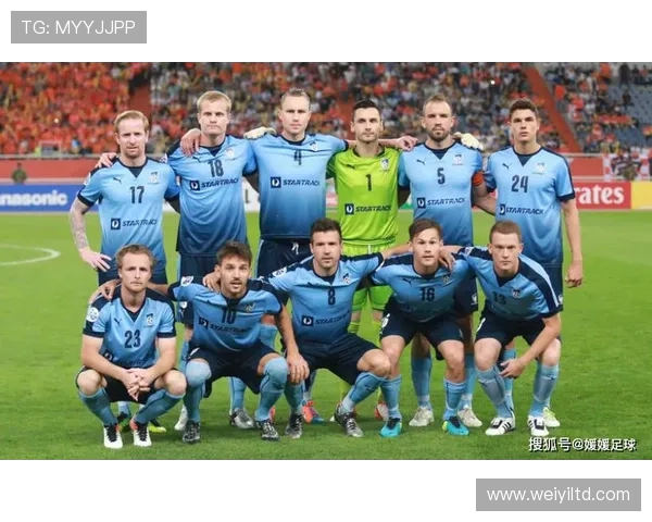 足球激情四溢：探索世界顶级联赛背后的传奇与创新