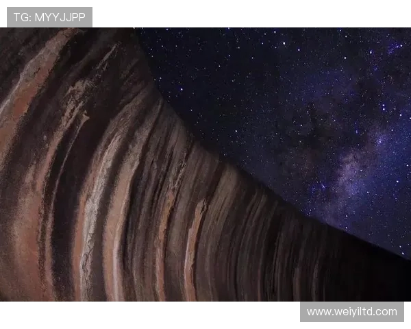 从惊心动魄到优雅入水全面解析跳水运动的力量与艺术之美