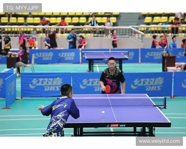 乒乓球激情碰撞展现速度与智慧完美结合的竞技魅力