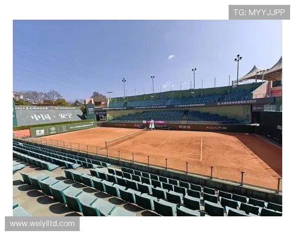 从草地到红土网球场上的速度与技巧全面解析