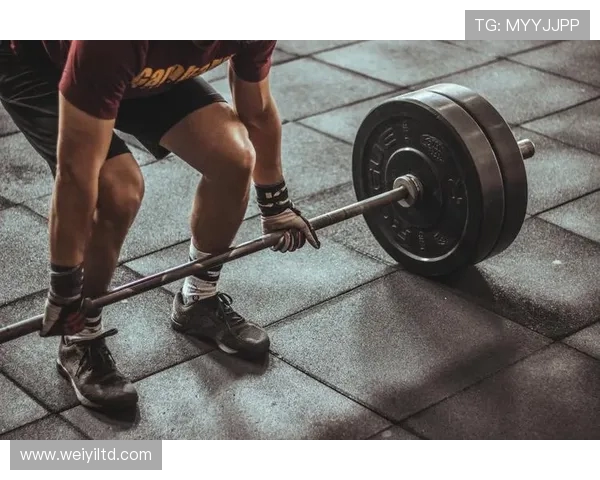 坚持科学健身塑造健康体魄引领积极生活方式新风尚