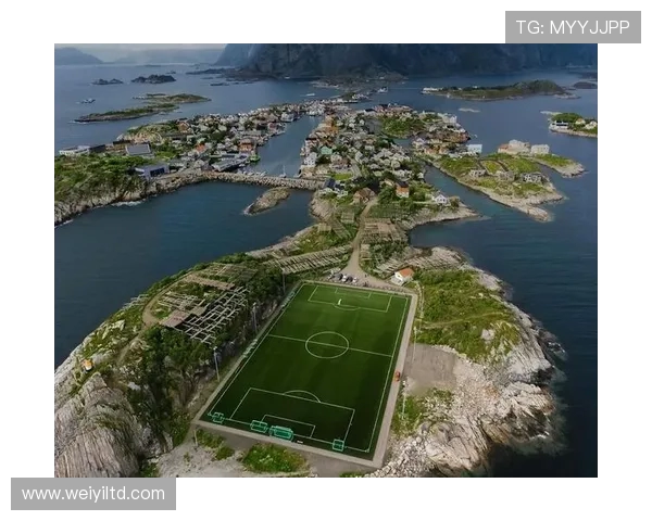 从绿茵战术到球星传奇全景解析当代足球竞技多元文化深层魅力之源