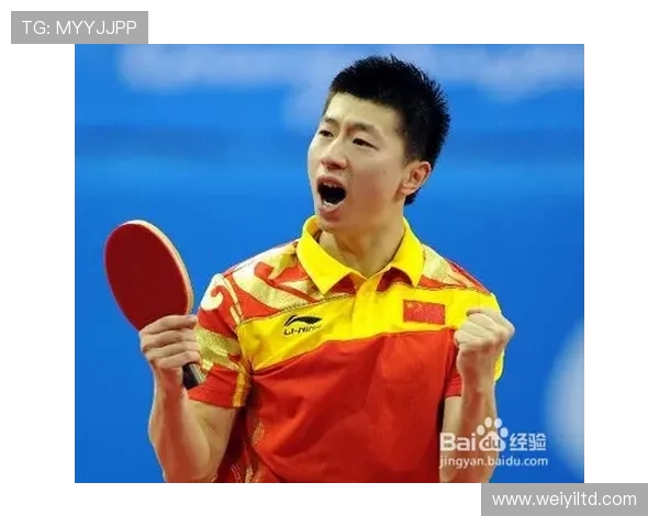 南京乒乓球队进攻打法深度分析与战术解读 南京乒乓球队进攻打法深度分析与战术解读