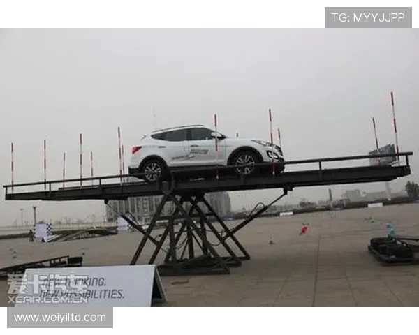 南京极限运动队荣登全国耐力排行榜第三名展现不凡实力