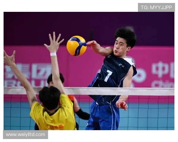 杭州排球队进攻战术解析与深度剖析排球竞技的魅力与挑战