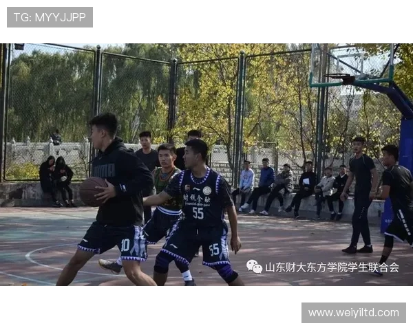 杭州篮球队心理素质分析及其对比赛表现的影响研究