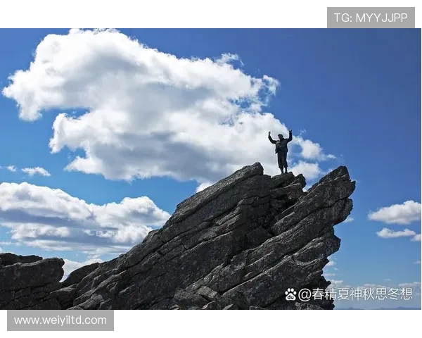 极限运动传奇杨强的挑战与坚持之路回顾