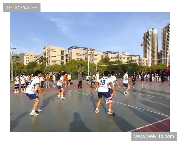 科学排球灵活性训练方法全面解析提升运动表现的有效策略与技巧