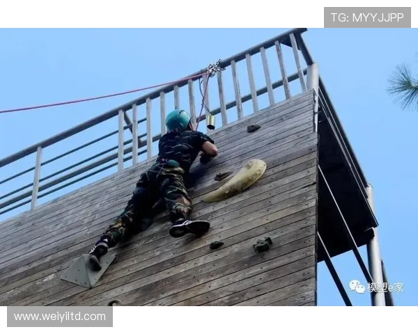 重庆排球队的蜕变之路挑战赛特别报道展现团队拼搏与创新精神 重庆排球队的蜕变之路挑战赛特别报道展现团队拼搏与创新精神